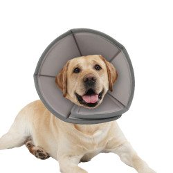 Dog Recovery Collar Elizabethan Collar