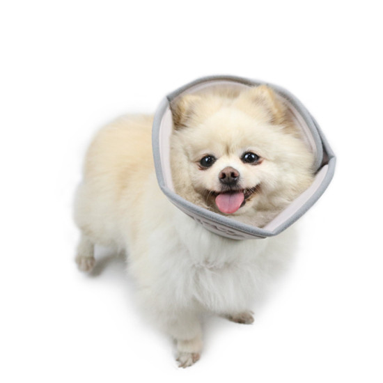 Dog Recovery Collar Elizabethan Collar