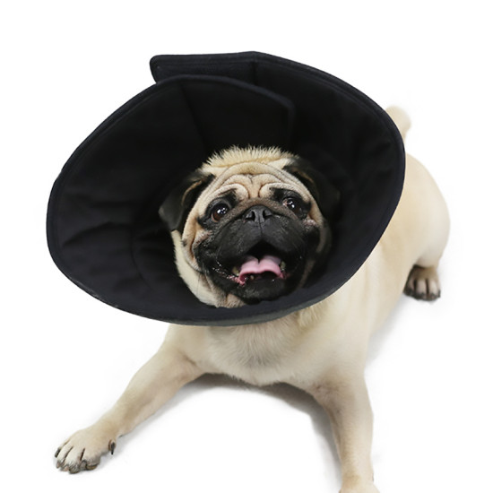 Dog Cone Collar