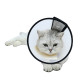 Elizabethan Collar for Cat Dog