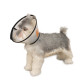 Elizabethan Collar for Cat Dog