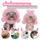 Cat Dog Cones for Rabbit Shaped