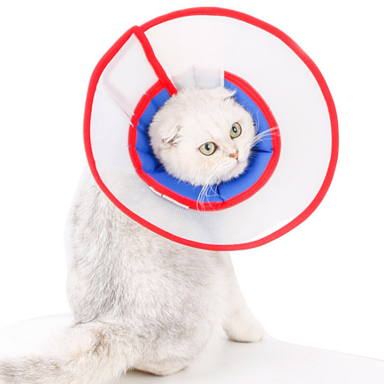 DOGLEMI Elizabethan Collar for Cat Dog