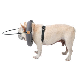 DOGLEMI Blind Dog Collar