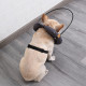 DOGLEMI Blind Dog Collar