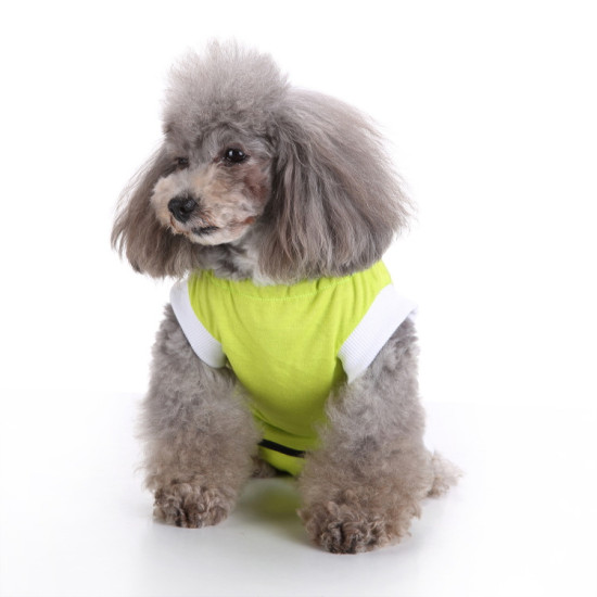 Dog Recovery Suit for Eutered Post-operative Care