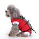 Dog Recovery Suit for Eutered Post-operative Care