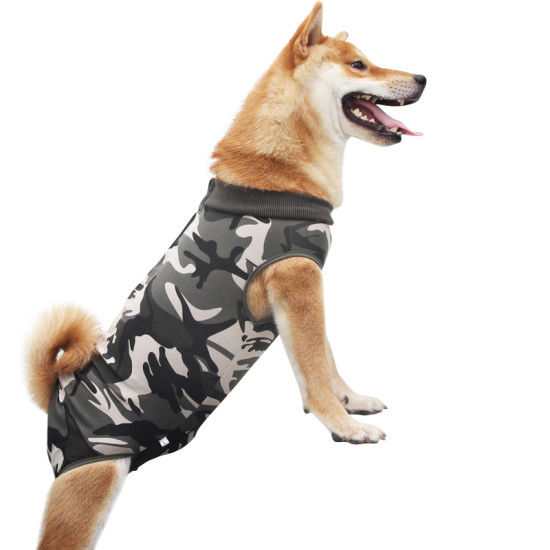 Dog Recovery Suit for Post-operative Care