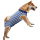 Dog Recovery Suit for Post-operative Care