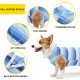 Dog Recovery Suit for Breathable Anti Licking