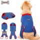 DOGLEMI Dog Recovery Suit for Neutered Anti-licking