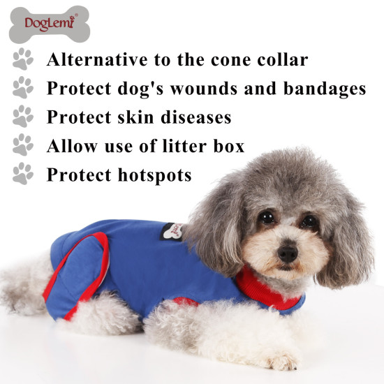 DOGLEMI Dog Recovery Suit for Neutered Anti-licking