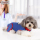 DOGLEMI Dog Recovery Suit for Neutered Anti-licking