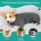 Bodysuits for Dogs After Surgery