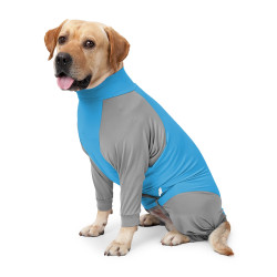 Dog Surgical Recovery Suit