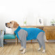 Dog Surgical Recovery Suit