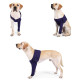 Dog Leg Sleeves For Prevent Licking