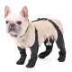 Waterproof Anti-Licking Dog Leg Sleeves