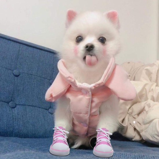 Casual Shoes For Dog