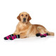 Dog Boots With Reflective Strips