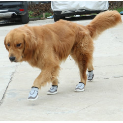 Dog Hiking Boots