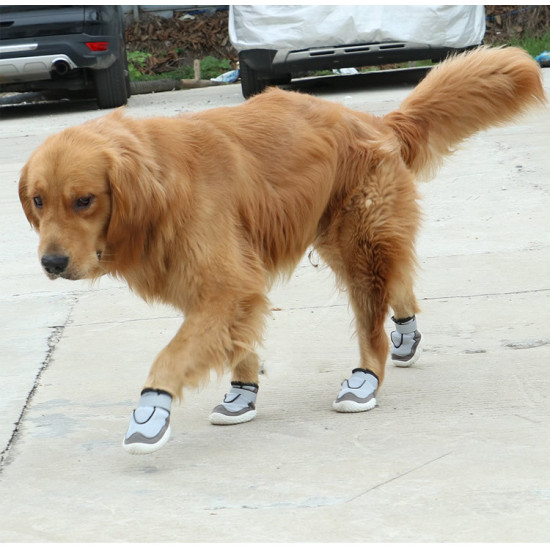 Dog Hiking Boots