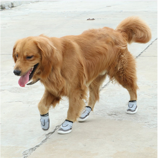 Dog Hiking Boots