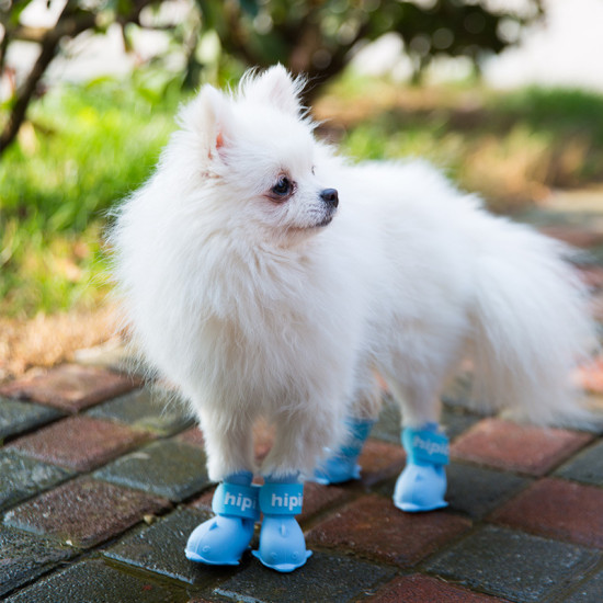 Waterproof Dog Rain Boots