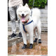 Dog Waterproof Rain Boots