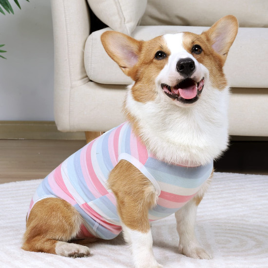 Classic Dog Stripe Pajama