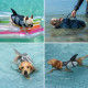 Dog Shark Life Jacket