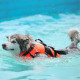 TAILUP Adjustable Dog Life Jacket