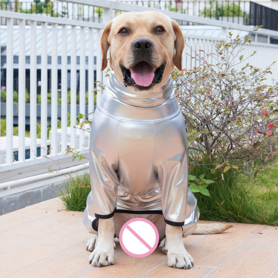 Dog Full Body Space Jacket