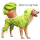 Cold Protection Dog Raincoat