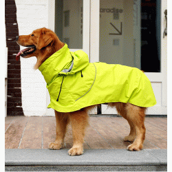 Dog Raincoat With Reflective Strips