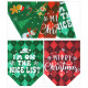 Dog Christmas Set With Hat And Bib