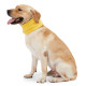 Solid Color Double Sided Dog Scarf