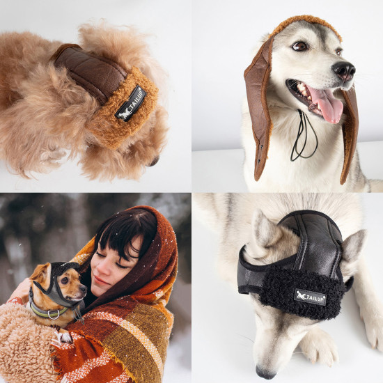 TAILUP Dog Aviator Hat