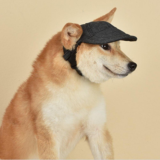 TAILUP Dog Baseball Cap