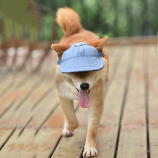 TAILUP Dog Baseball Cap