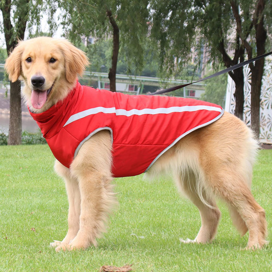 Thickened Waterproof Dog Jacket