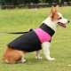 Waterproof Zipper Dog Jacket