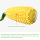 Dog Chew Toys Corn Molar Stick