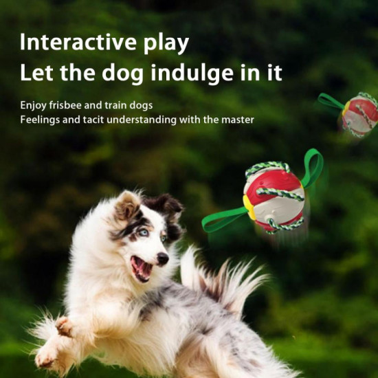 Dog Chew Toys Training Frisbee Football