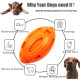 Dog Chew Toys Rubber Football