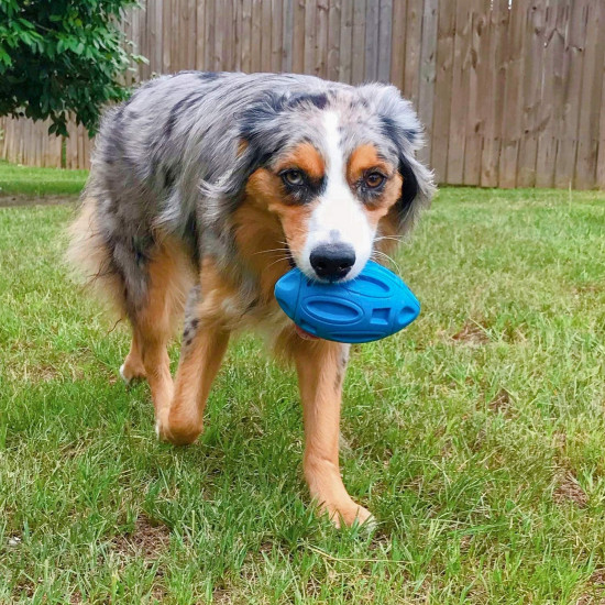 Dog Chew Toys Rubber Football