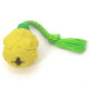 Dog Pineapple Chew Toys