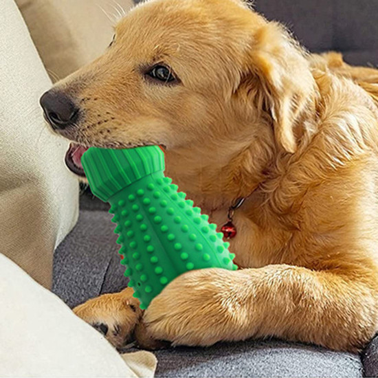 Dog Chew Toys Rubber Cactus