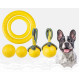 Dog Chew Toys Rubber Ball and Ring