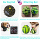 Dog Double Layer Chew Ball Toys